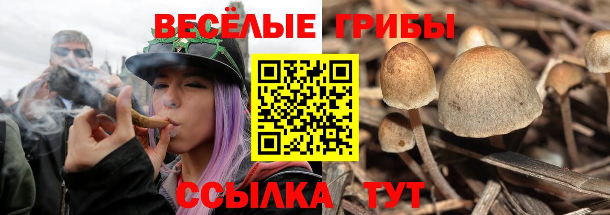 Псилоцибиновые грибы ЛСД  Галлюциногенные грибы ЛСД  Вход с VPN  Красногорск 